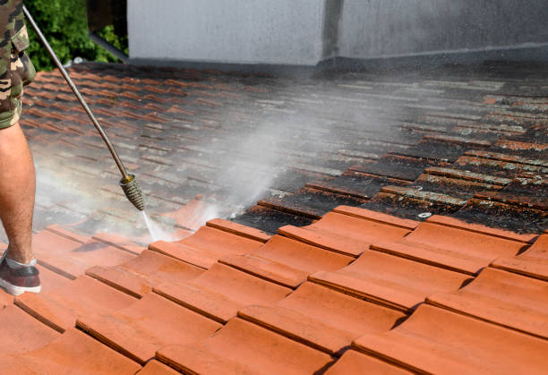 Best Commercial Pressure Washing  in Daleville, IN