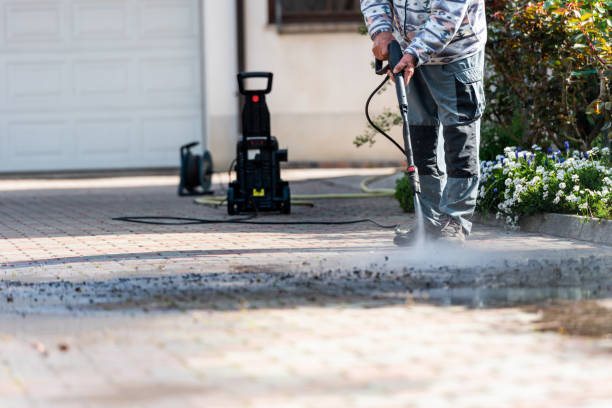 Best Pressure Washing Services for Businesses  in Daleville, IN