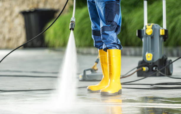 Best Pressure Washing Near Me  in Daleville, IN