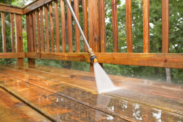 Best Exterior Home Cleaning  in Daleville, IN