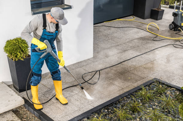 Best Pressure Washing Cost  in Daleville, IN