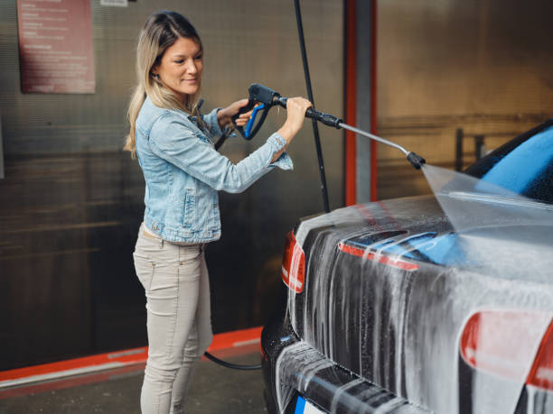Best Roof Power Washing Services  in Daleville, IN